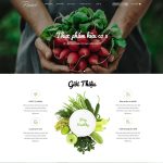 Theme WordPress thực phẩm sạch 28