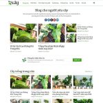 Theme WordPress tin tức 12 Theme WordPress tin tức 12
